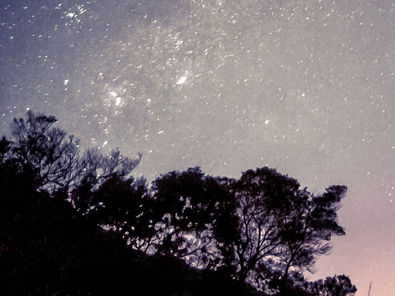 Vertical Shot Beautiful Starry Sky