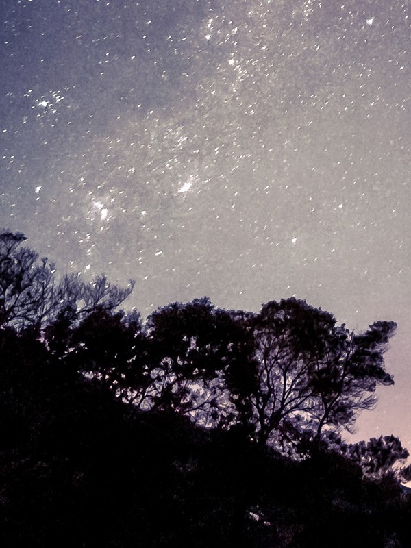 Vertical Shot Beautiful Starry Sky