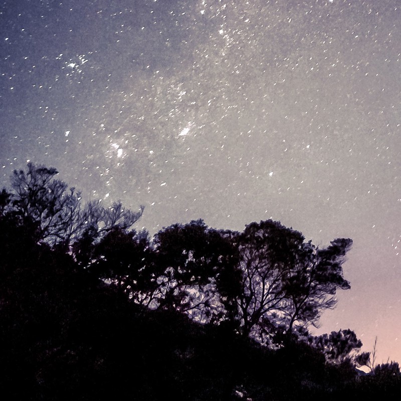 Vertical Shot Beautiful Starry Sky